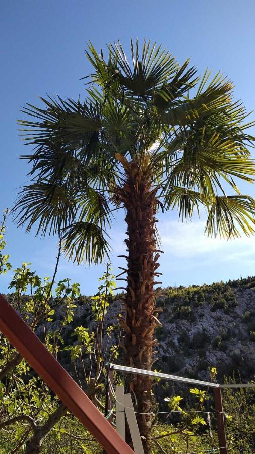 Apartman Maida Blagaj Bagian luar foto