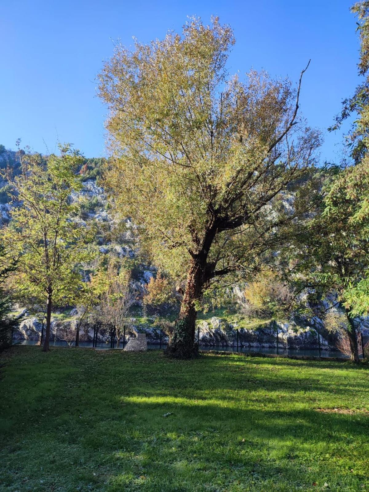 Apartman Maida Blagaj Bagian luar foto